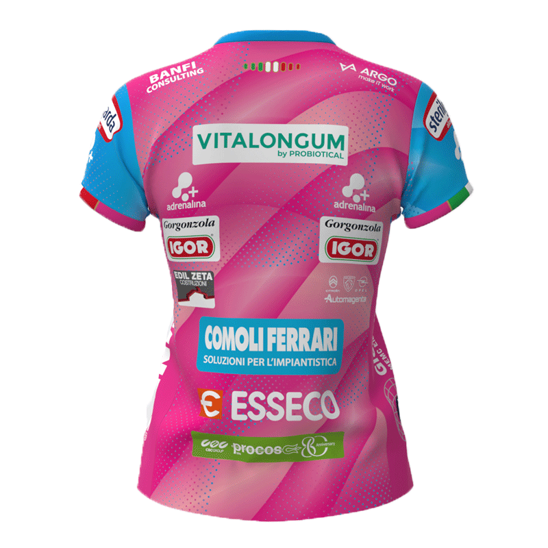 バレーボール イタリア セリエAイゴールバレーノヴァーラ 2024-25試合