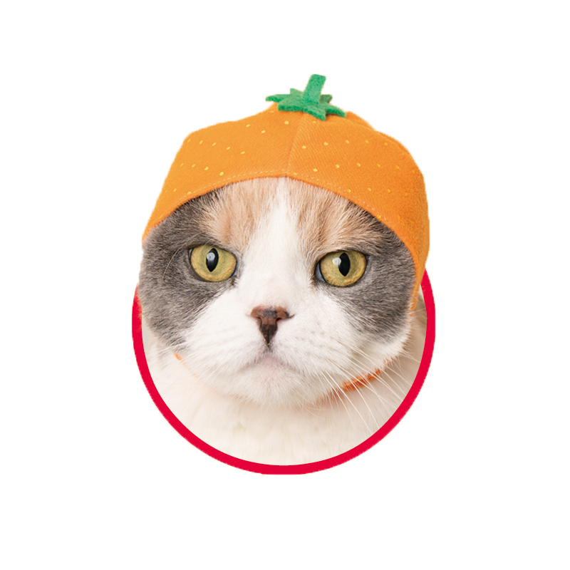 かわいい かわいい ねこフルーツちゃん｜株式会社キタンクラブ