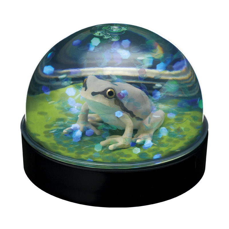WaterDomeFactory ニホンアマガエル｜株式会社キタンクラブ