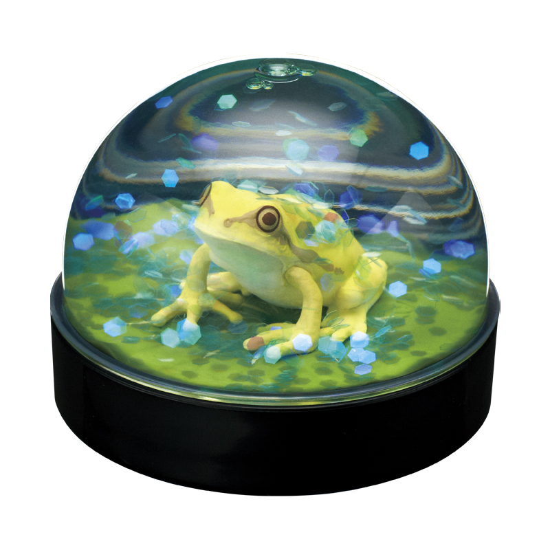 WaterDomeFactory ニホンアマガエル｜株式会社キタンクラブ