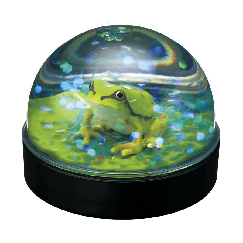WaterDomeFactory ニホンアマガエル｜株式会社キタンクラブ