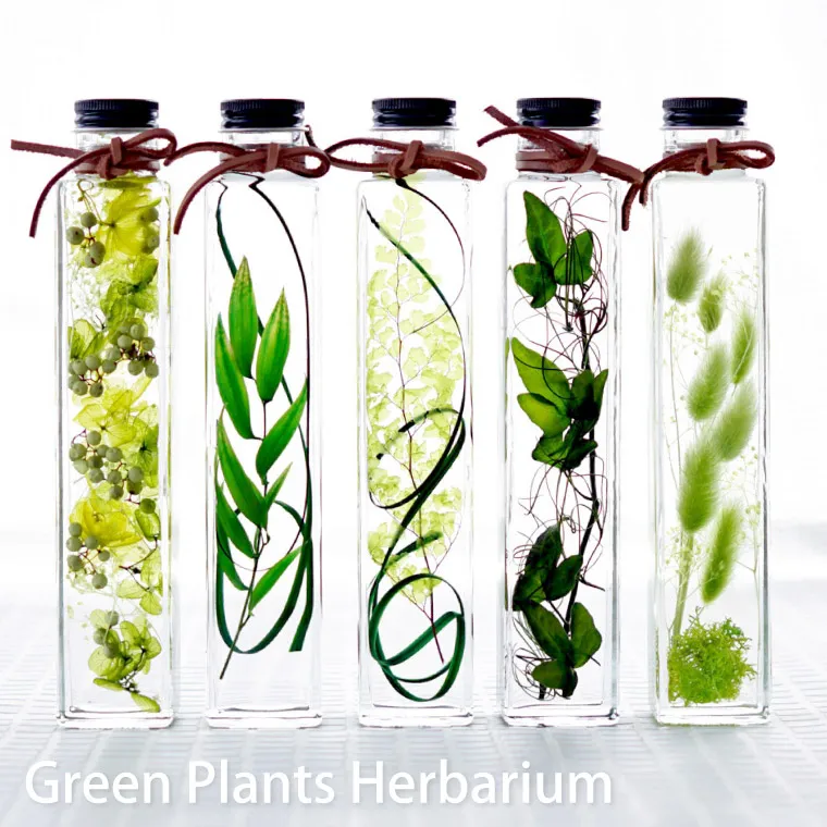 グリーンプランツ ハーバリウム』｜ギフトショップ「FLEGRE（フレグレ）」