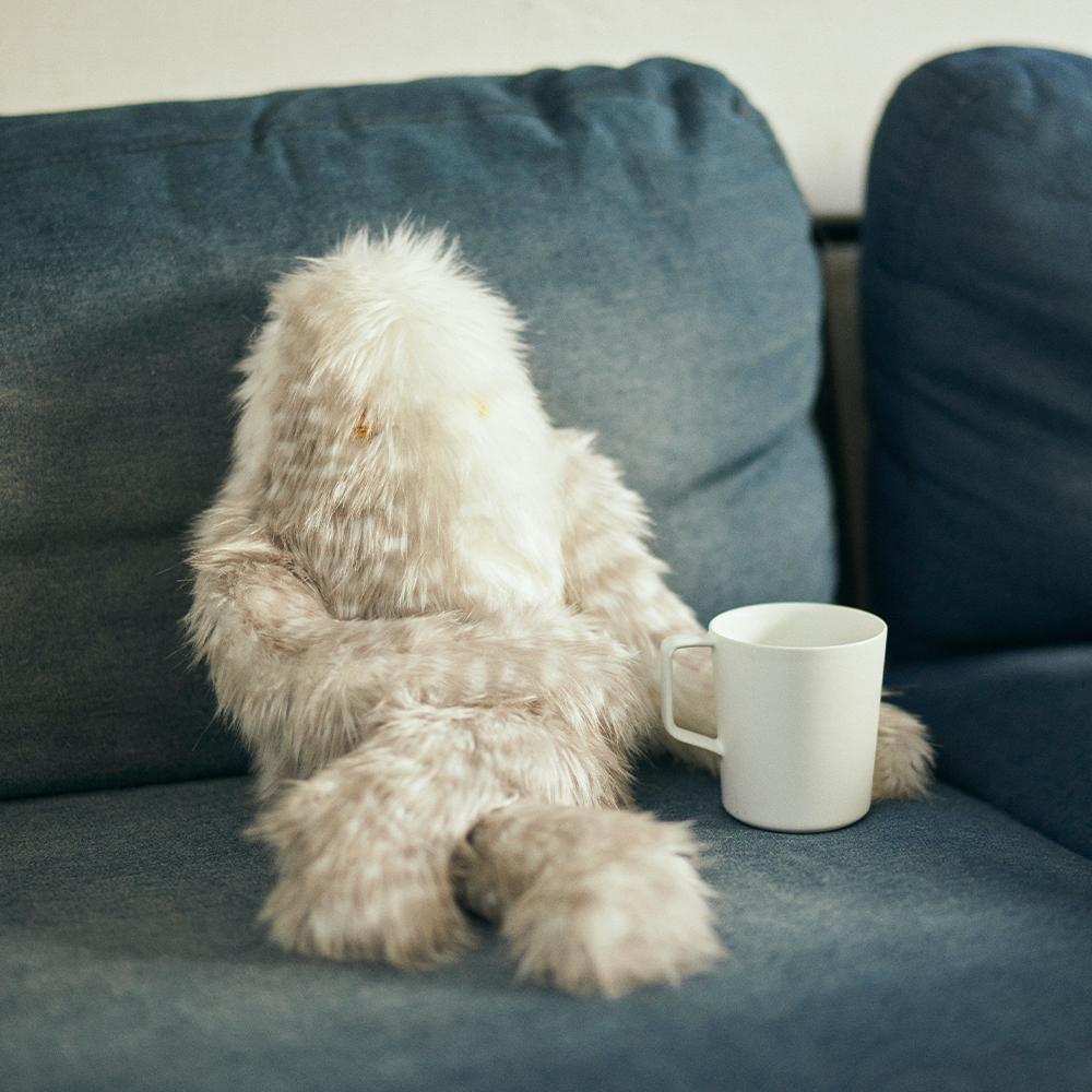 Fabrico｜イエティ | KONCENT Web shop｜アッシュコンセプト公式