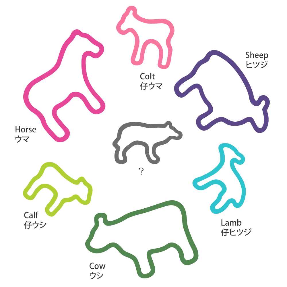 d｜アニマルラバーバンド ファーム 28本入 ギフトボックス | KONCENT