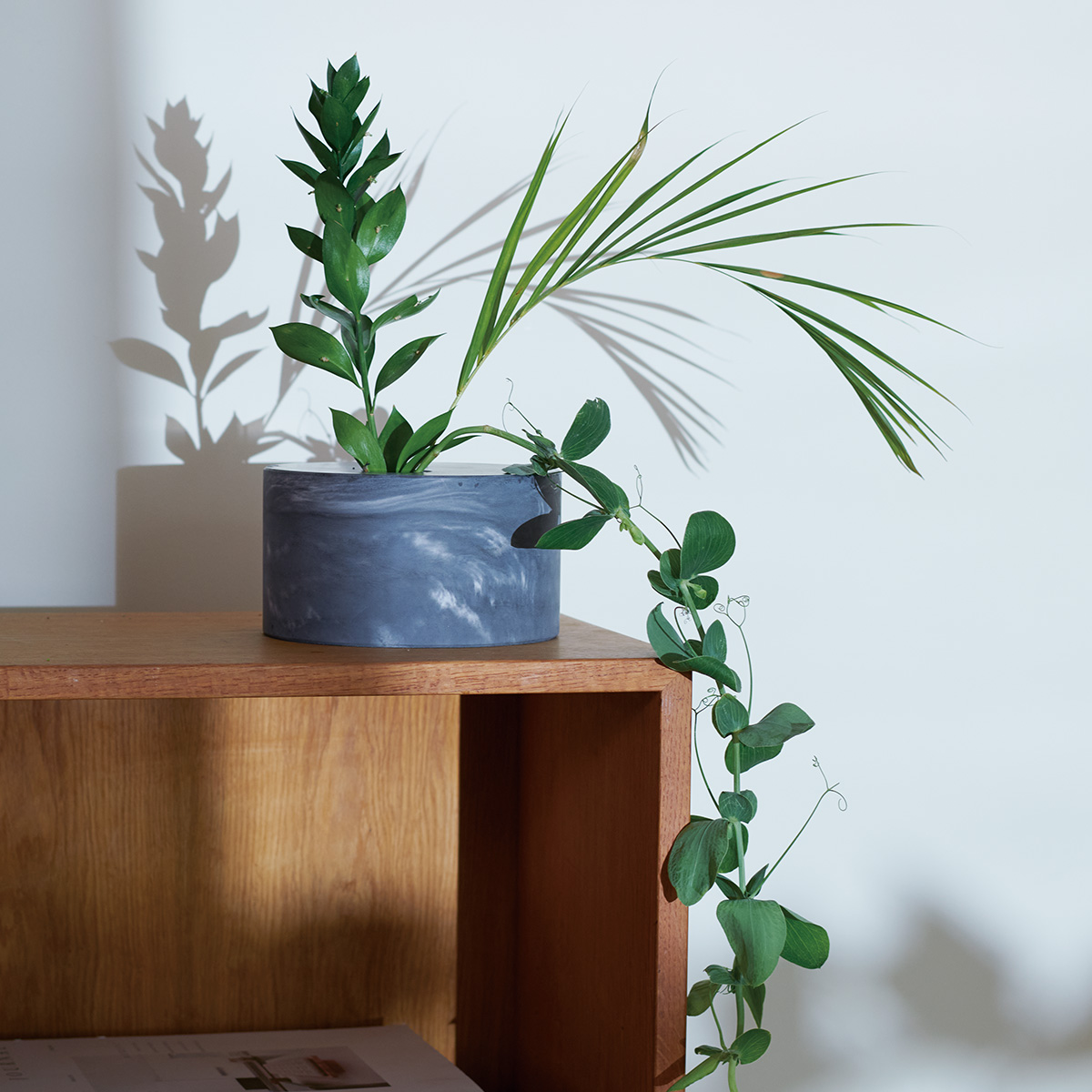 soil｜フラワーベース W | KONCENT Web shop｜アッシュコンセプト公式