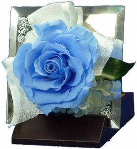 商品一覧 | 音楽の小箱