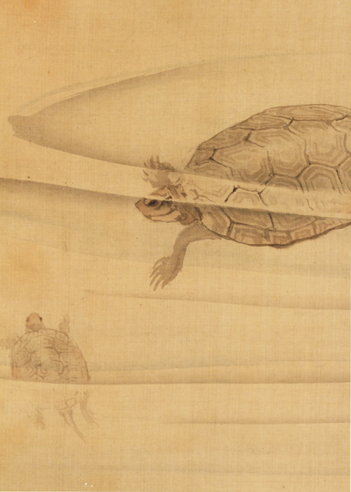 円山応挙 游亀図 | 古美術瀬戸