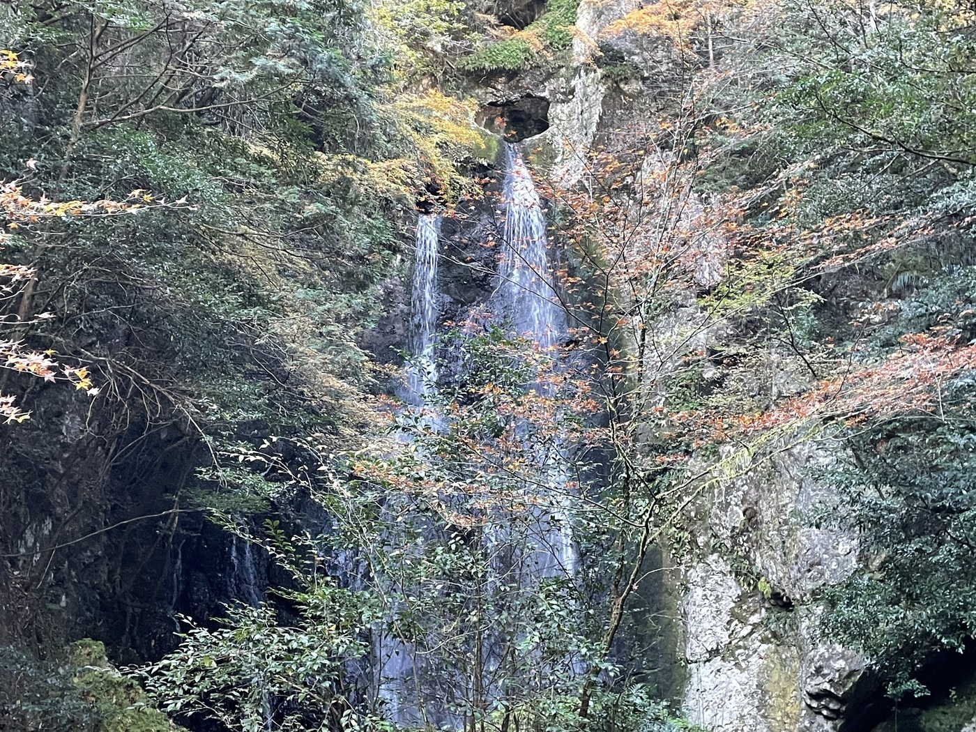 長沢の滝 | 観光スポット検索 | 高知県観光情報Webサイト「こうち旅