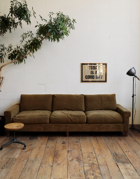 TRUCK FURNITUREの真似っこ。リビングの大型観葉植物シェフレラ | 中古