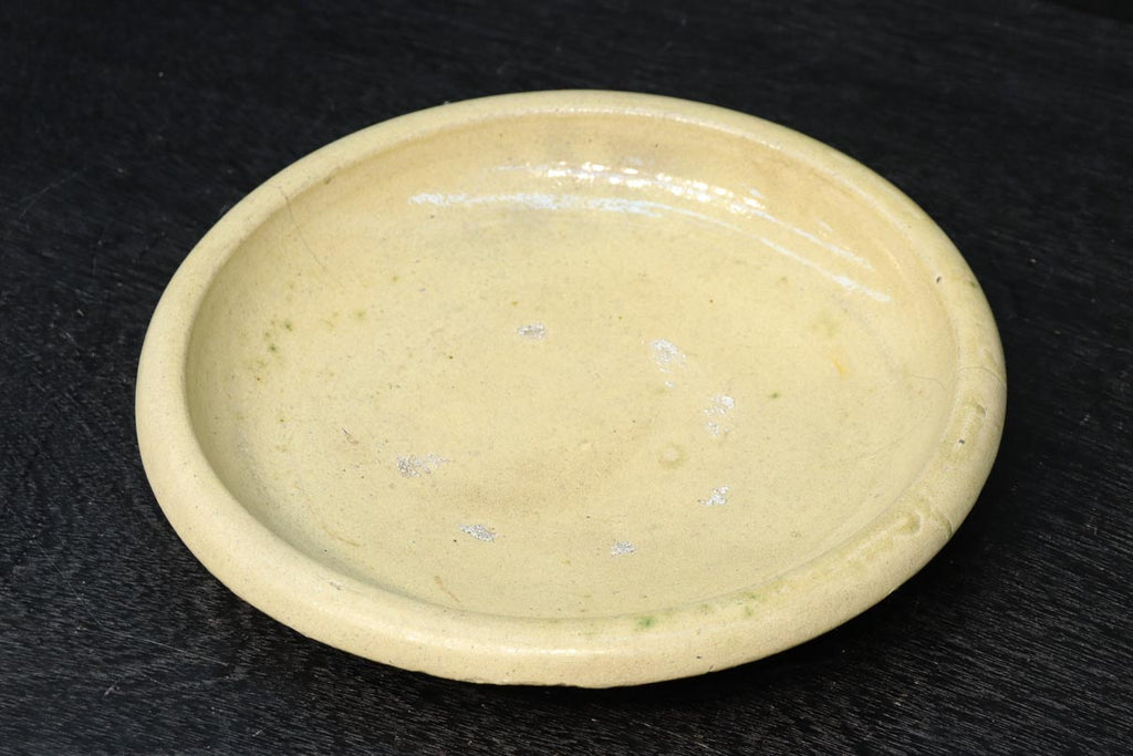 DC6924_1_1024x.jpg?v=1737947533