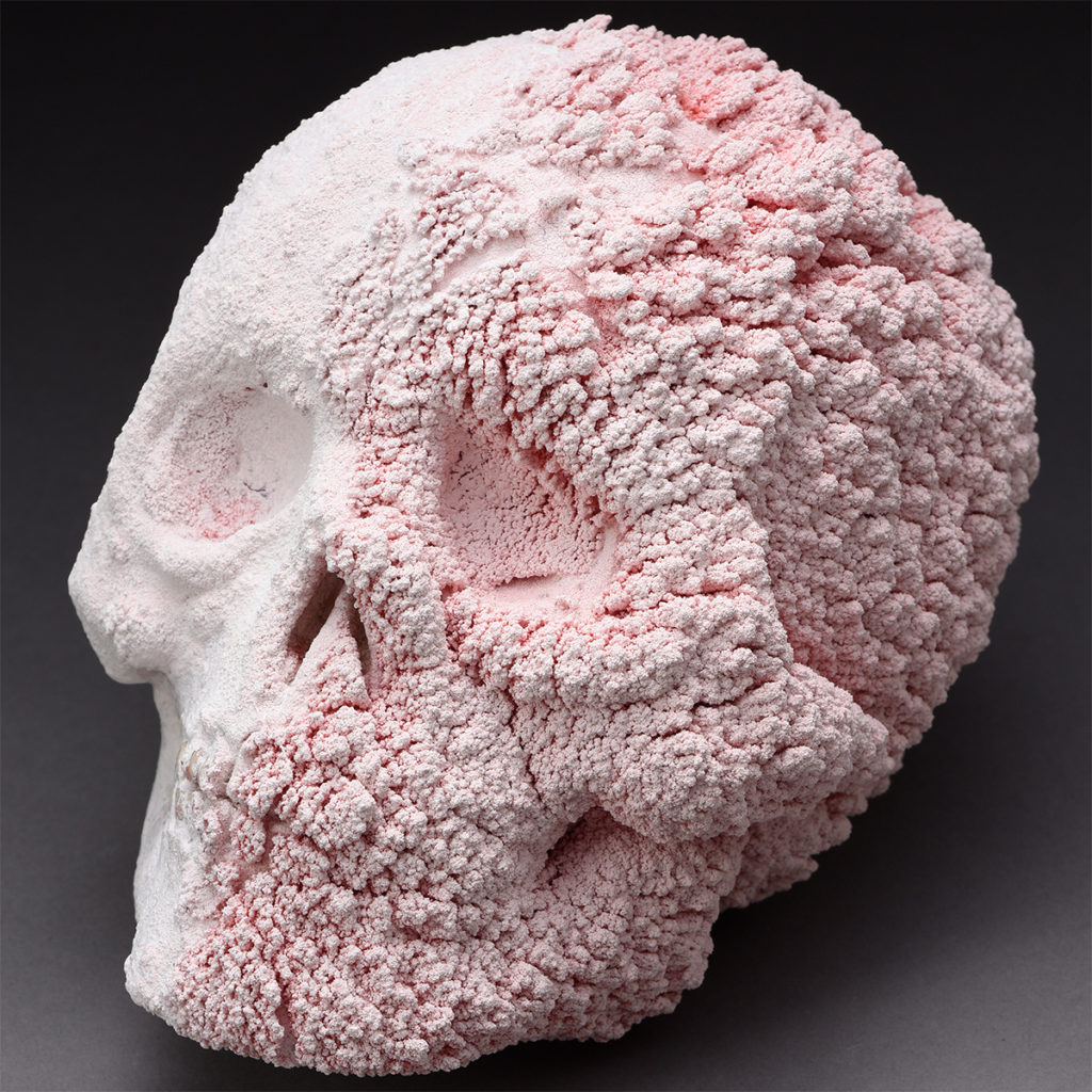 髑髏 | KOGEI Art Fair Kanazawa 2020 (工芸アートフェア金沢2020)