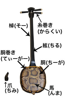 アジアの楽器図鑑