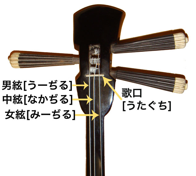 アジアの楽器図鑑