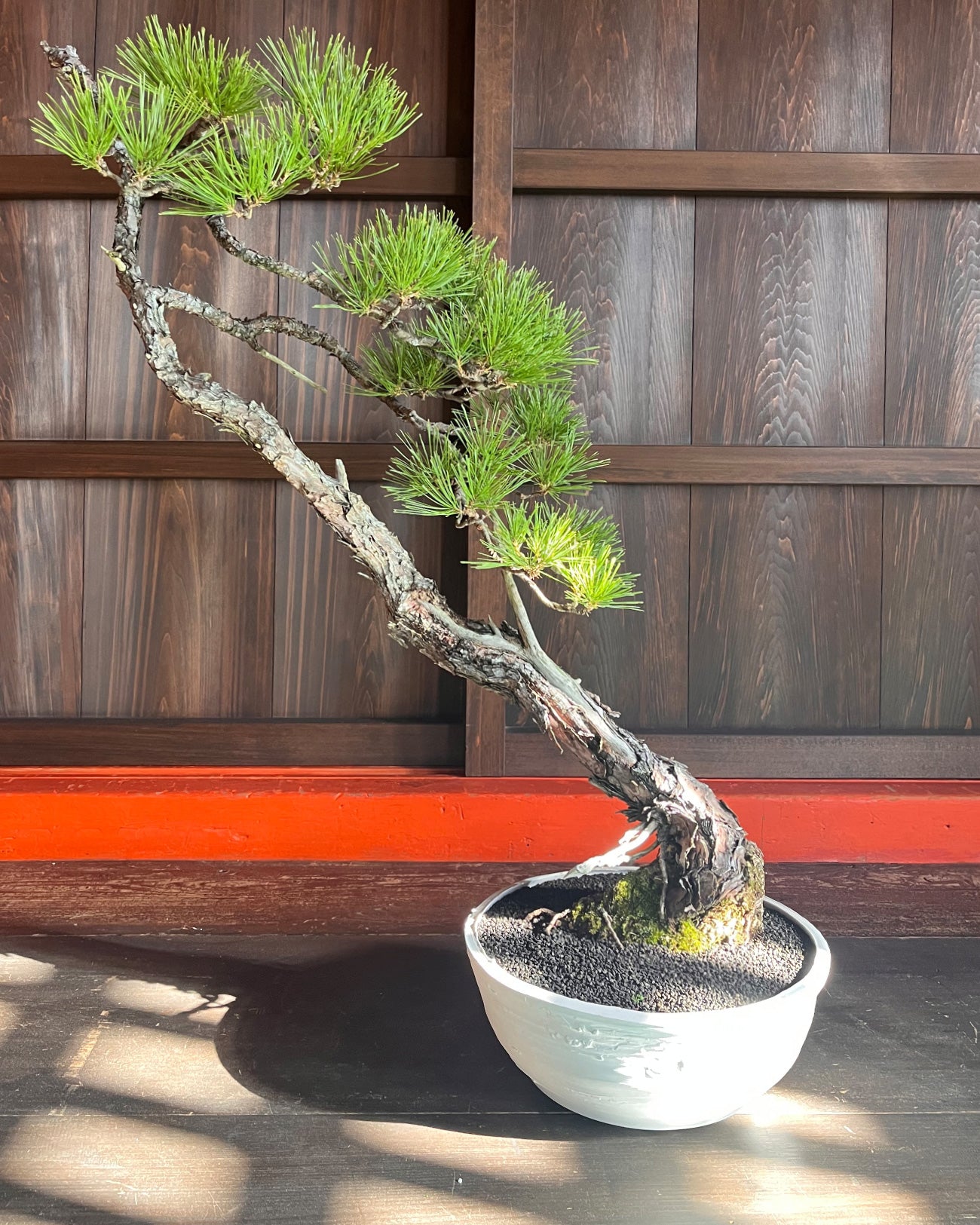 清水焼 KIYOMIZU WARE