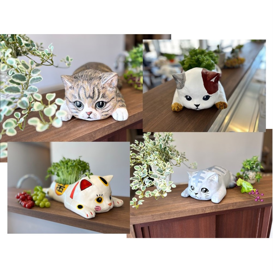 こころ粋 / おえかきにゃんこの水耕栽培キット