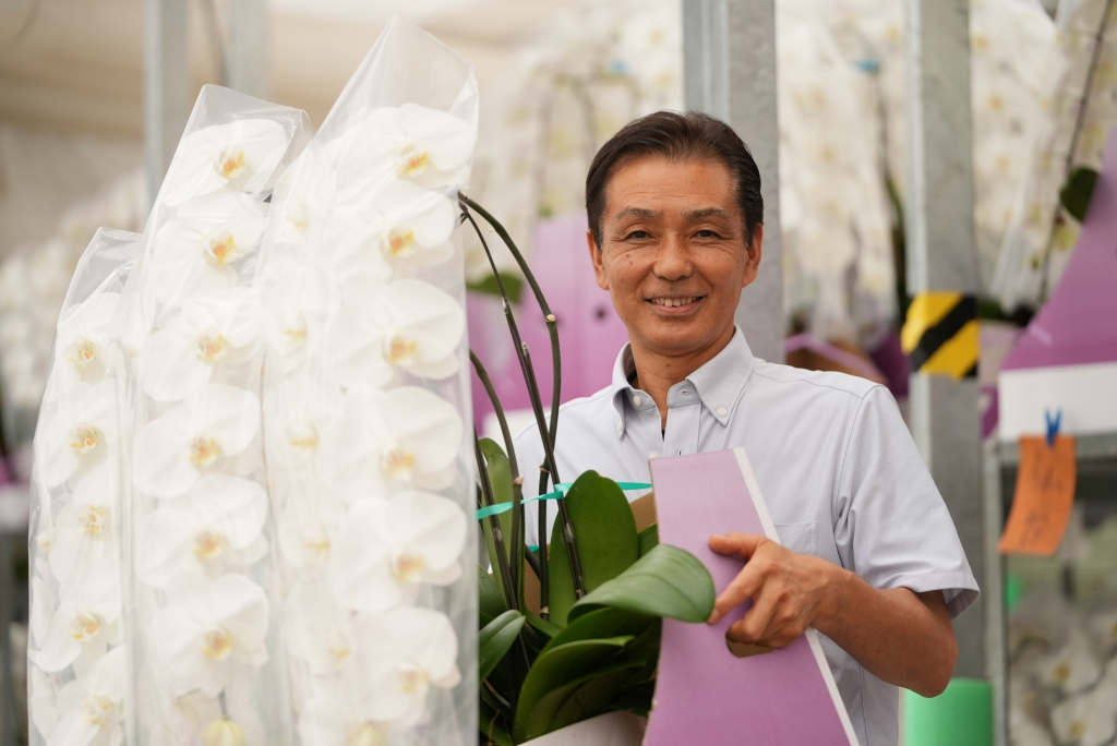 胡蝶蘭はなぜ高いのか？ – らんや T I M E S