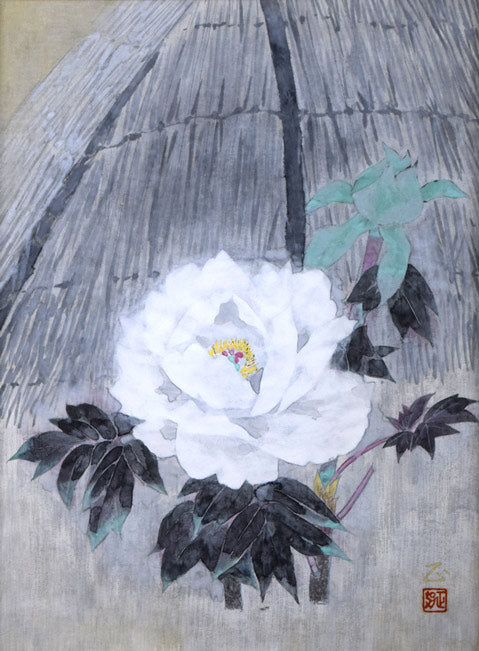 黒澤正「冬牡丹」日本画・8号 絵画買取・販売の小竹美術