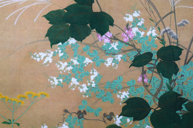 酒井抱一筆 絹本肉筆 朝顔 沒骨法 掛軸 送料込み250824 酒井抱一筆