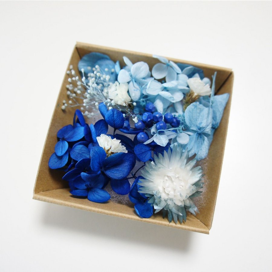 ハーバリウム 花材のみ [シルバーデージー] | ハーバリウム通販