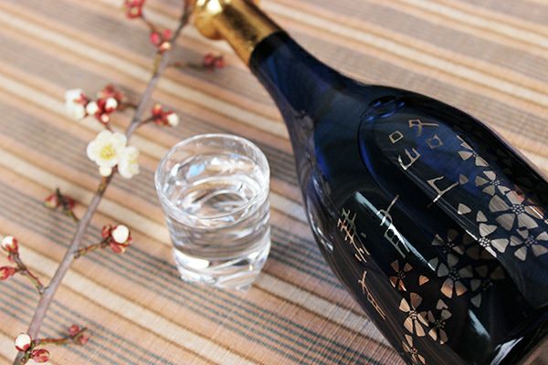 極みセット (きわみせっと) 720ml×2本【日本酒セット】 | 丹波酒蔵直送