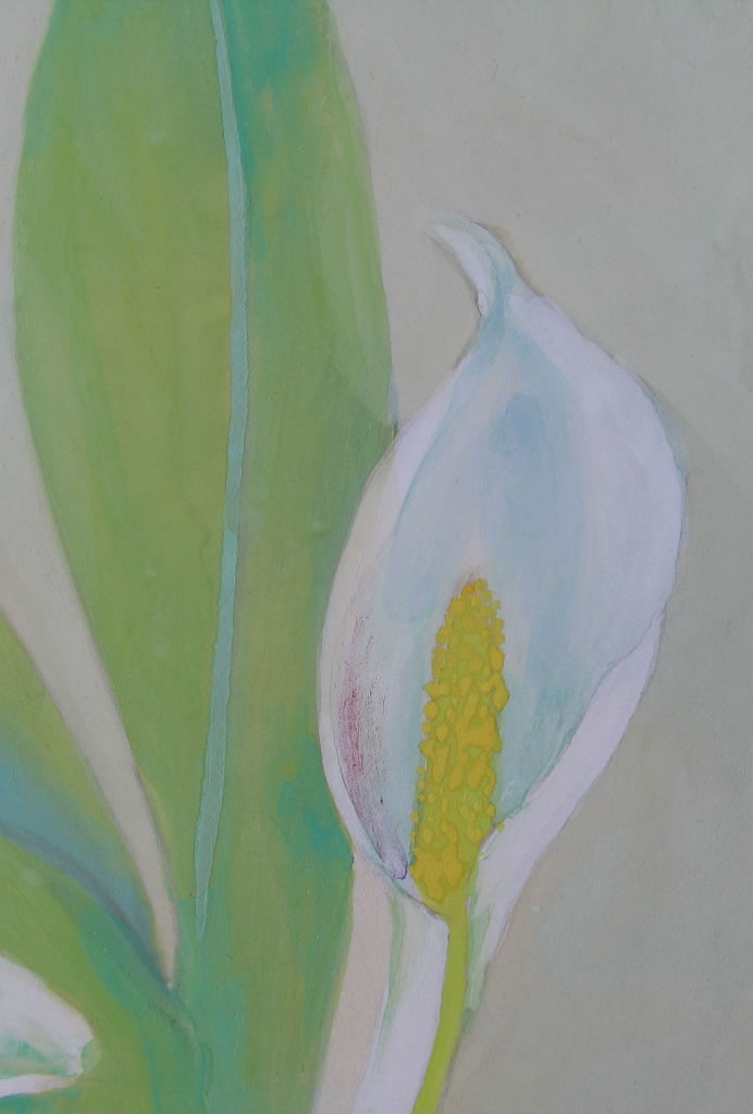 水芭蕉（日本画）｜新・古美術 高美堂（こうびどう）｜掛軸販売・通販