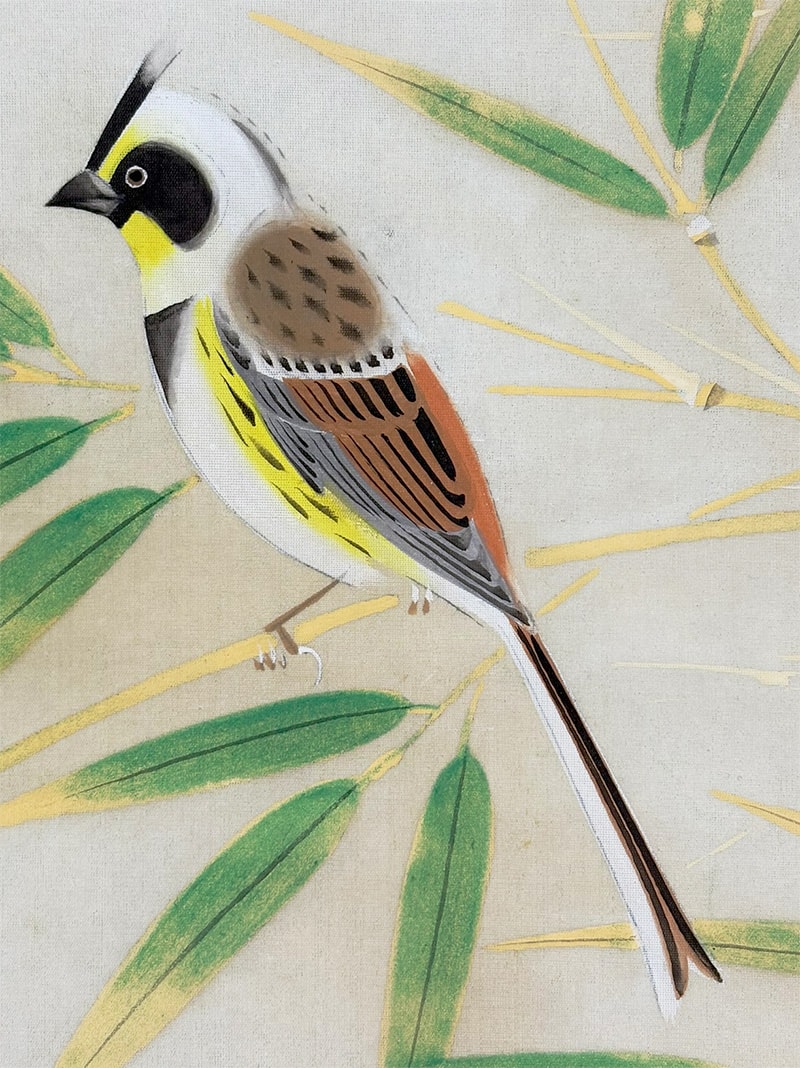 竹小禽｜新・古美術 高美堂（こうびどう）｜掛軸販売・通販・買取