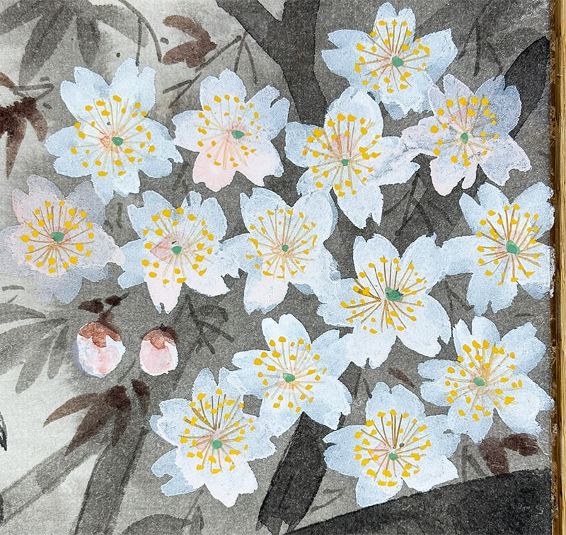 小櫻｜新・古美術 高美堂（こうびどう）｜掛軸販売・通販・買取｜骨董