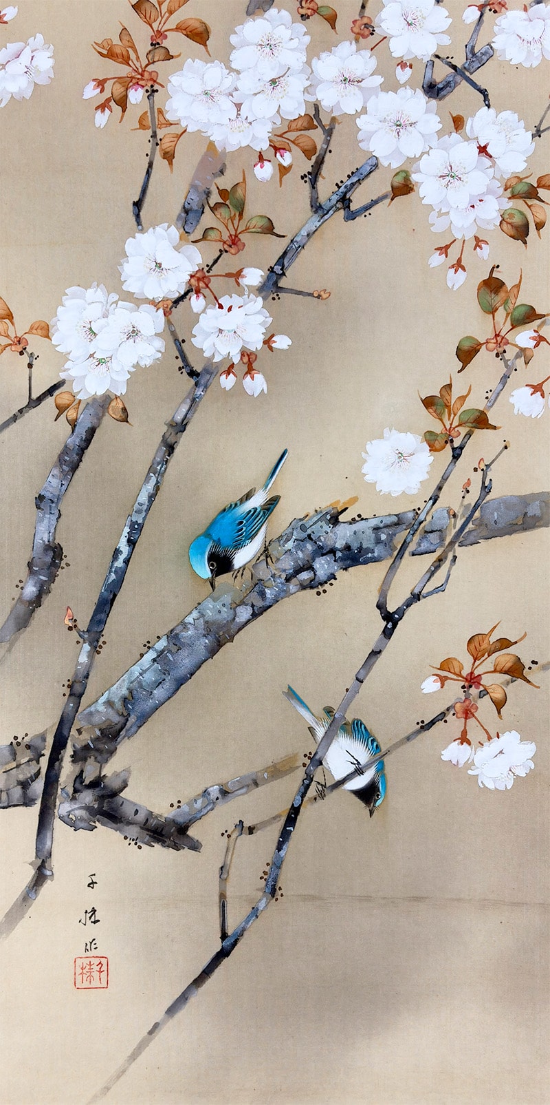 桜花小禽｜新・古美術 高美堂（こうびどう）｜掛軸販売・通販・買取