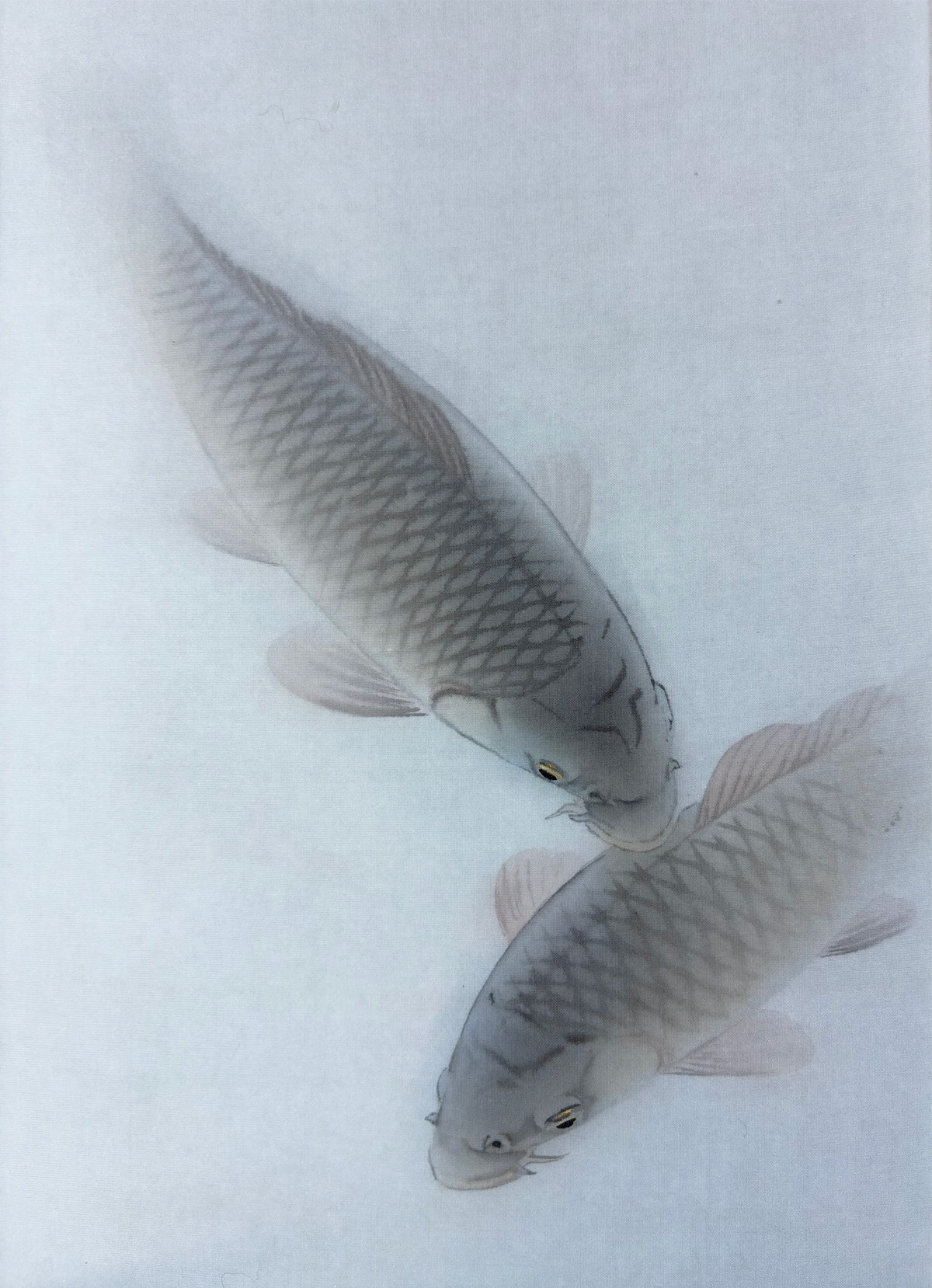 群鯉｜新・古美術 高美堂（こうびどう）｜掛軸販売・通販・買取｜骨董