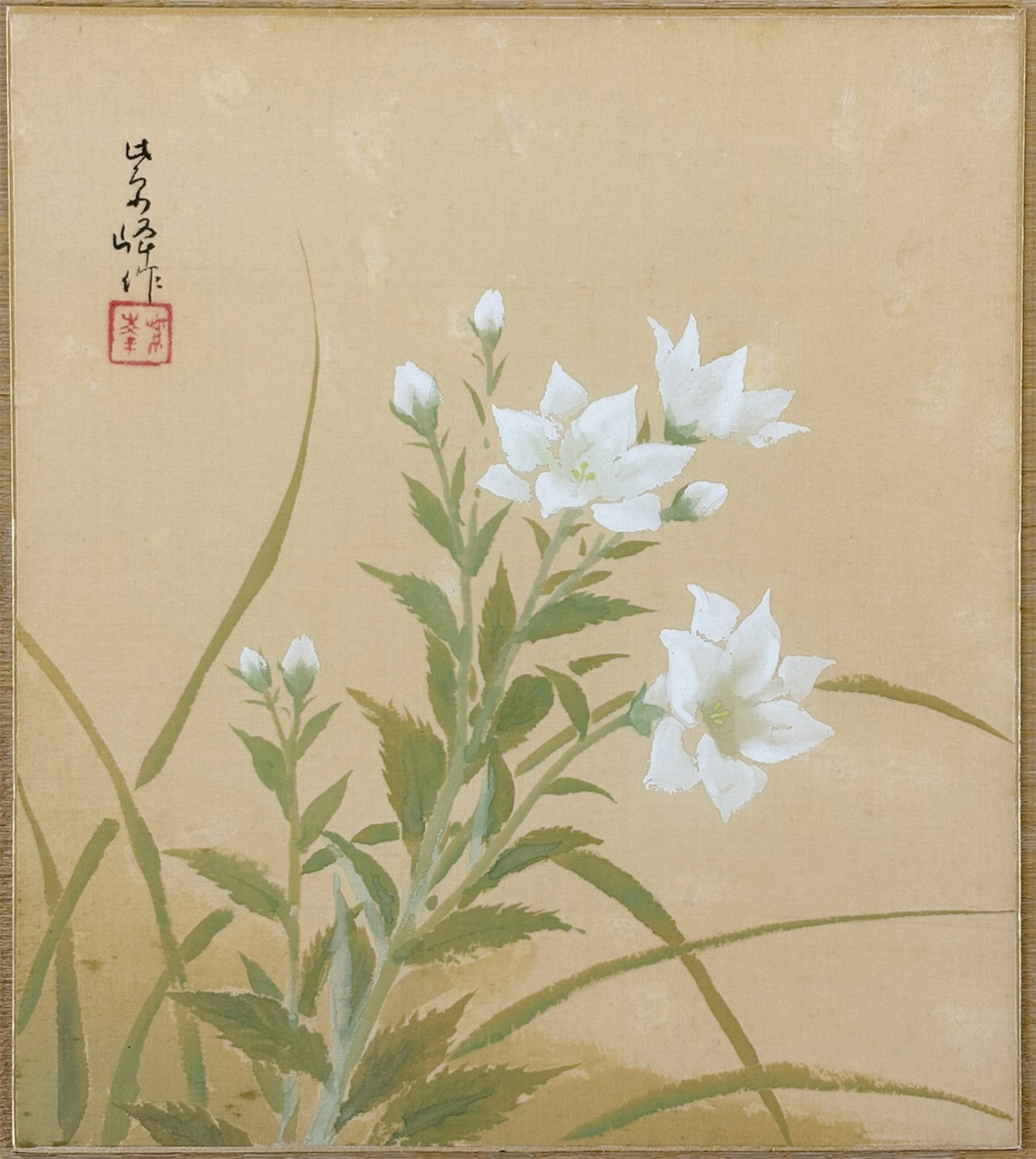 桔梗｜色紙｜新・古美術 高美堂（こうびどう）｜掛軸販売・通販・買取