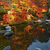 吉野山(中千本)の紅葉(奈良県) ｜紅葉名所2025