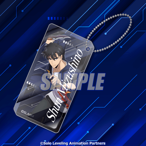 TVアニメ「俺だけレベルアップな件」オンラインくじ バトルアクション