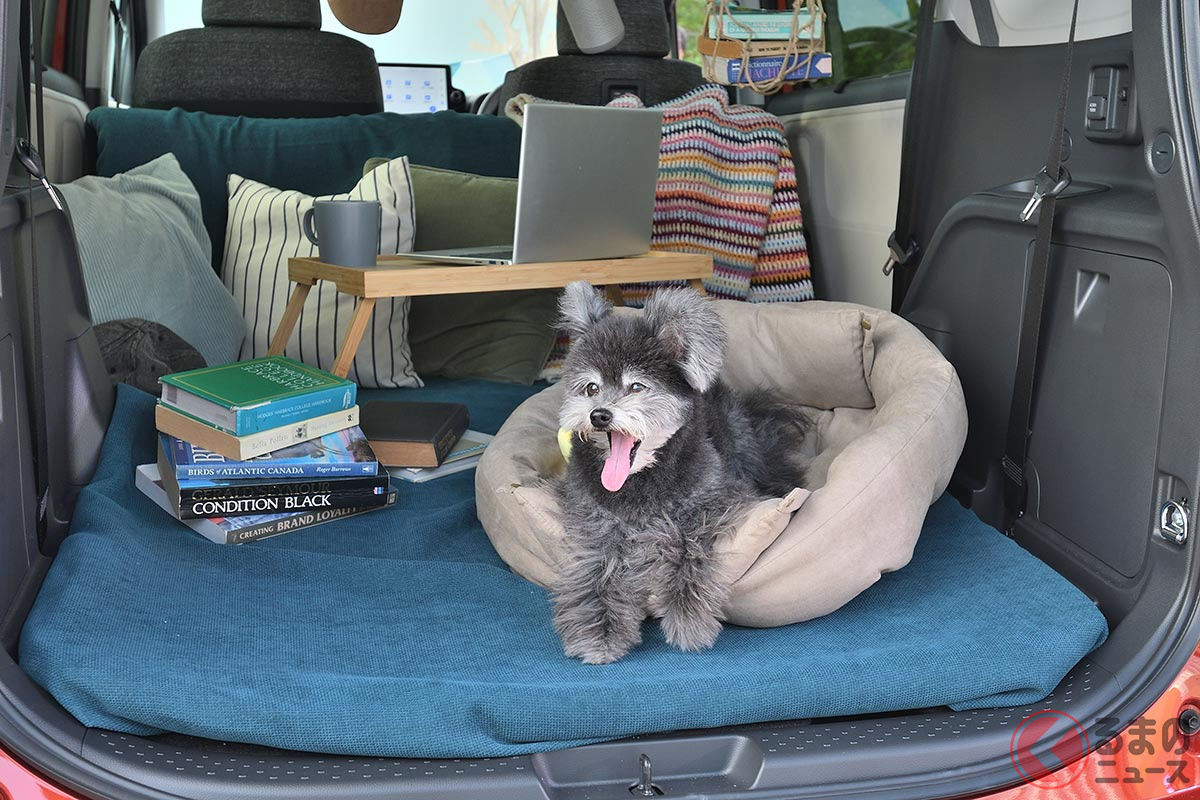 犬がトヨタの新型車に変身!? キュートな