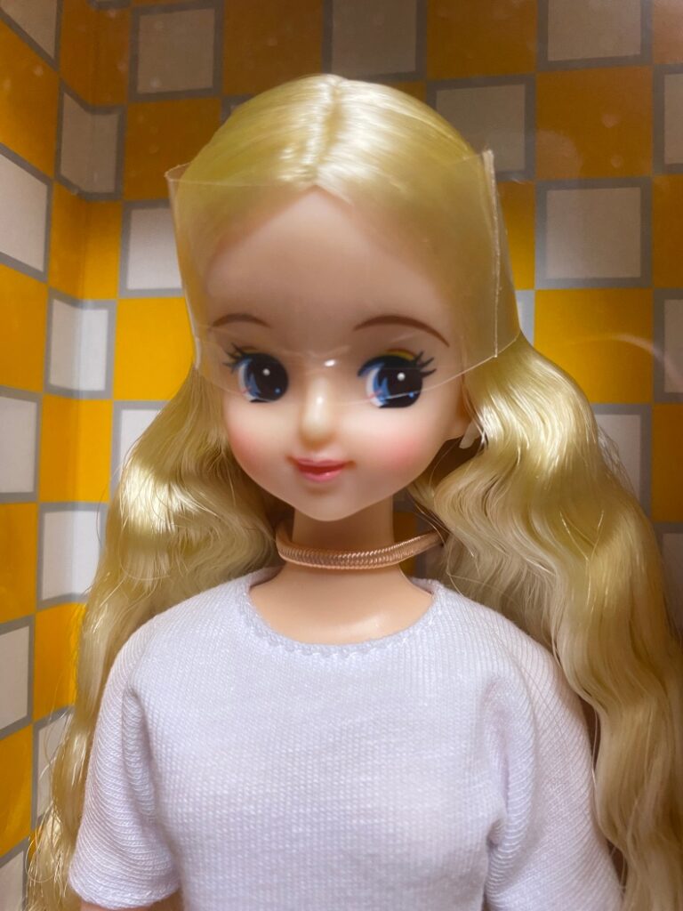 ジェニーフレンドジュディをおむかえ | ちいさなおもちゃばこ