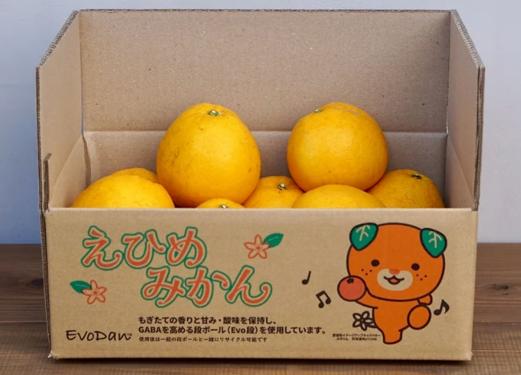 バイオマス由来のガスバリア材〈PLANTIC®〉がみかん箱に初採用 | 株式