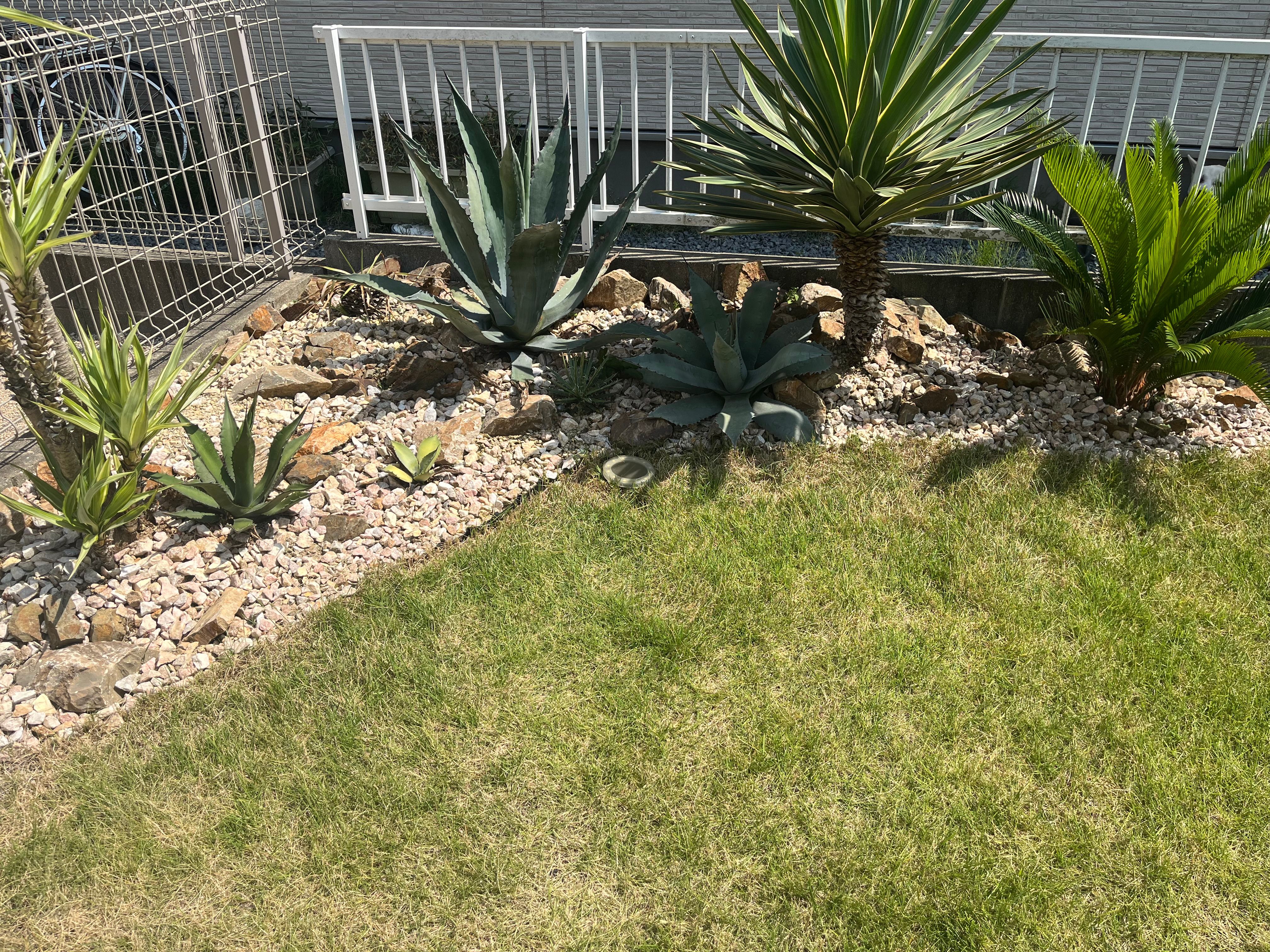 初心者必見！ドライガーデンの土選びのコツとは？ - 緑の中のゼロ