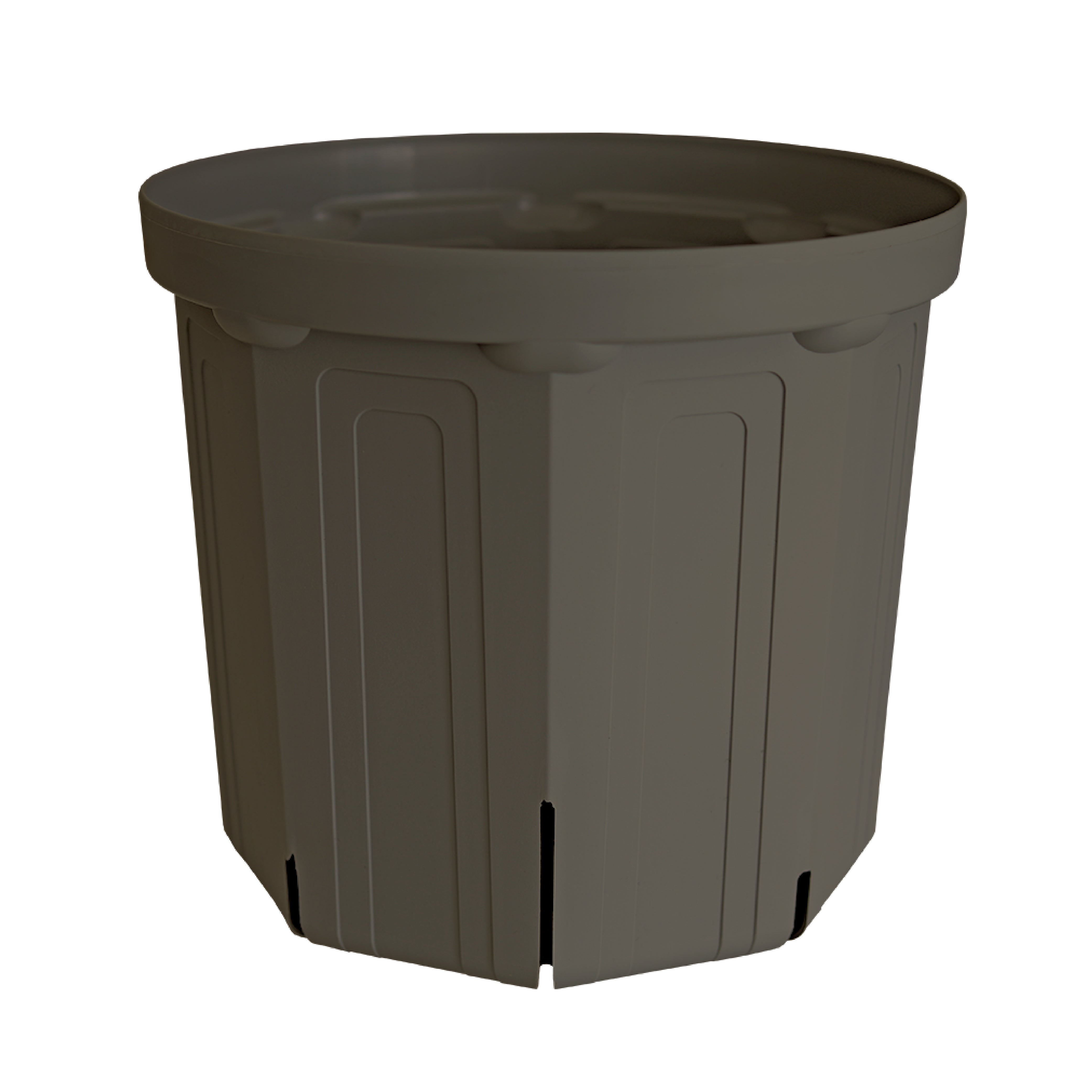 10号鉢(30cm) – KUROKO