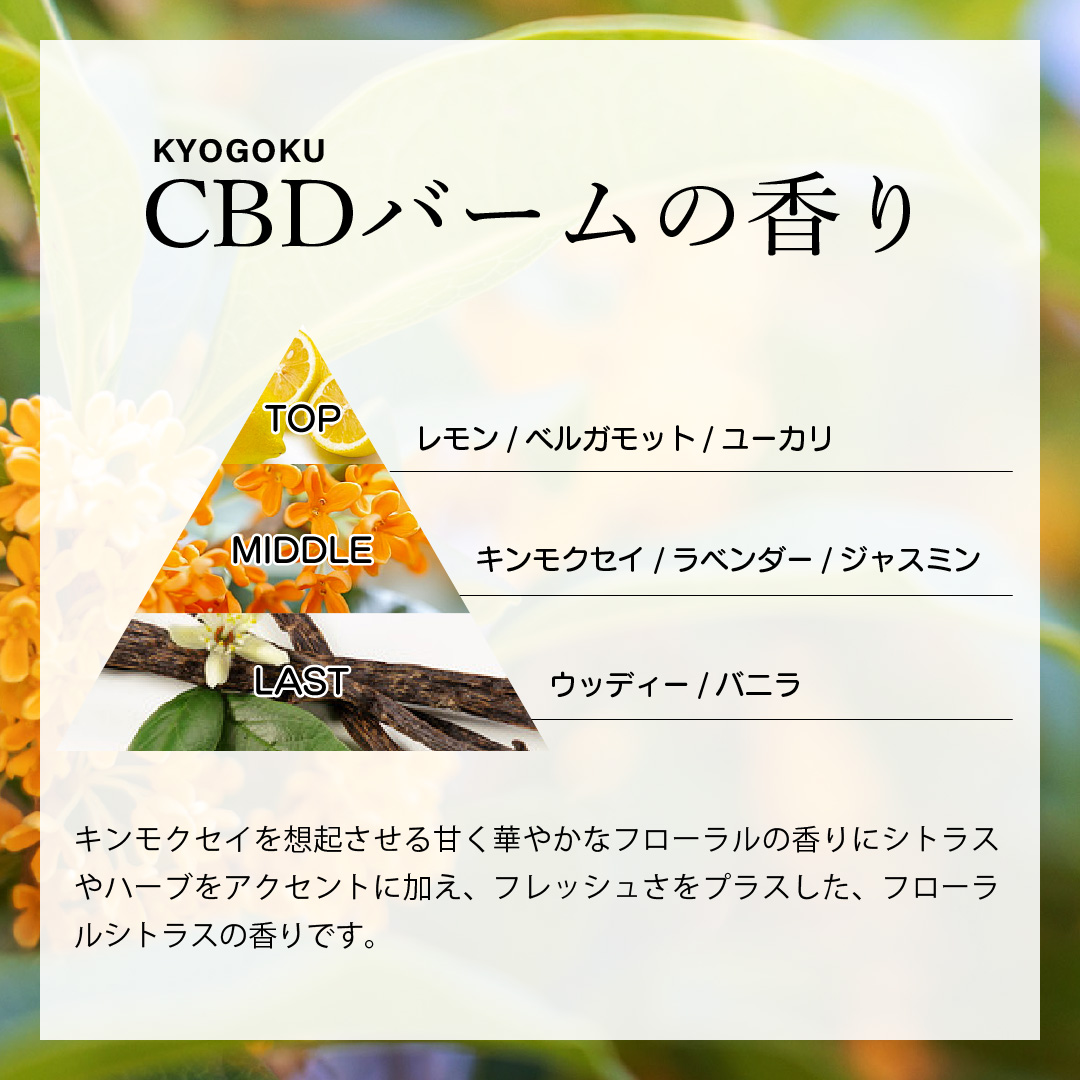 Kyogoku Professional / KYOGOKU CBD バーム 25g