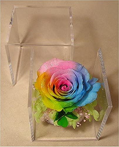 四つ葉のクローバー＆虹色の薔薇 レインボーローズ1輪 プリザーブド