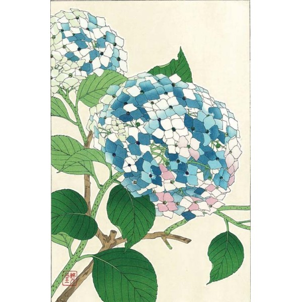 F75 紫陽花 花版画 Flower Woodcut ーHydrangeaー | 芸艸堂 版元 | 京