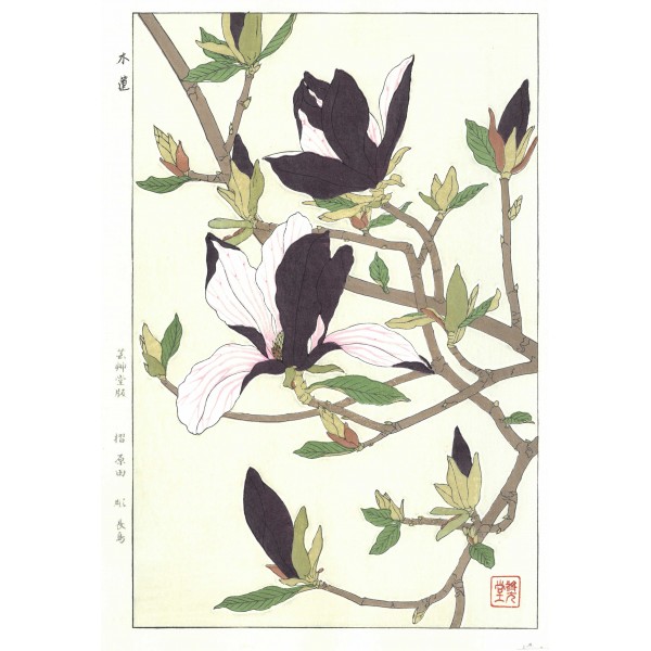 F77 木蓮 花版画 Flower Woodcut ーMagnoliaー | 芸艸堂 版元 | 京もの
