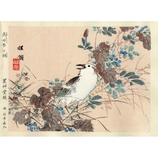 幸野楳嶺 木版画 むくどり Bairei Kono Woodcut | 芸艸堂 版元 | 京