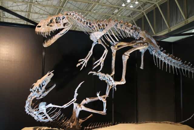 ジュラシック・ワールドのdレックスを徹底解説｜強さと正体を楽しく知