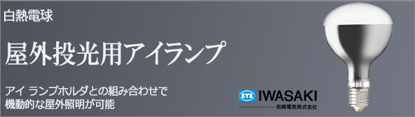 RF110V90WH || 白熱電球 岩崎電気(IWASAKI) 屋外投光用アイランプ 100W
