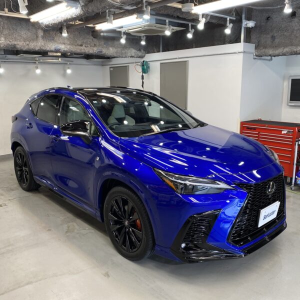 LEXUS / NX - SurLuster Lab