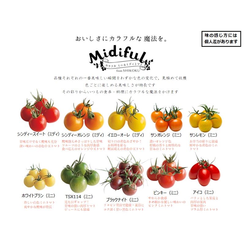 カラフル無選別トマト（1.5kg） | Lacycle mall（ラシクルモール）