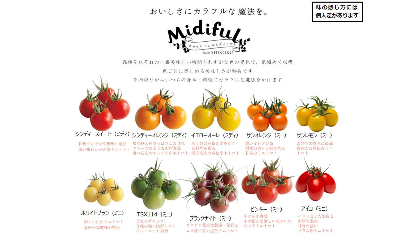 四電工アグリファーム | Lacycle mall（ラシクルモール）