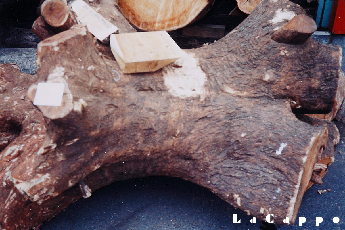 御蔵桑（みくらぐわ）、御蔵島桑（みくらじまくわ）について