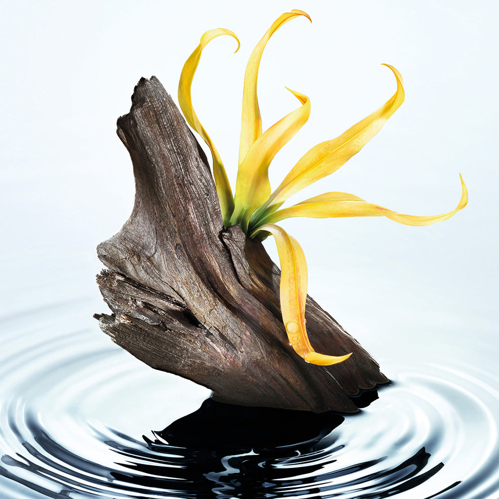 公式】イッセイ ミヤケ ロードゥ イッセイ オードパルファム