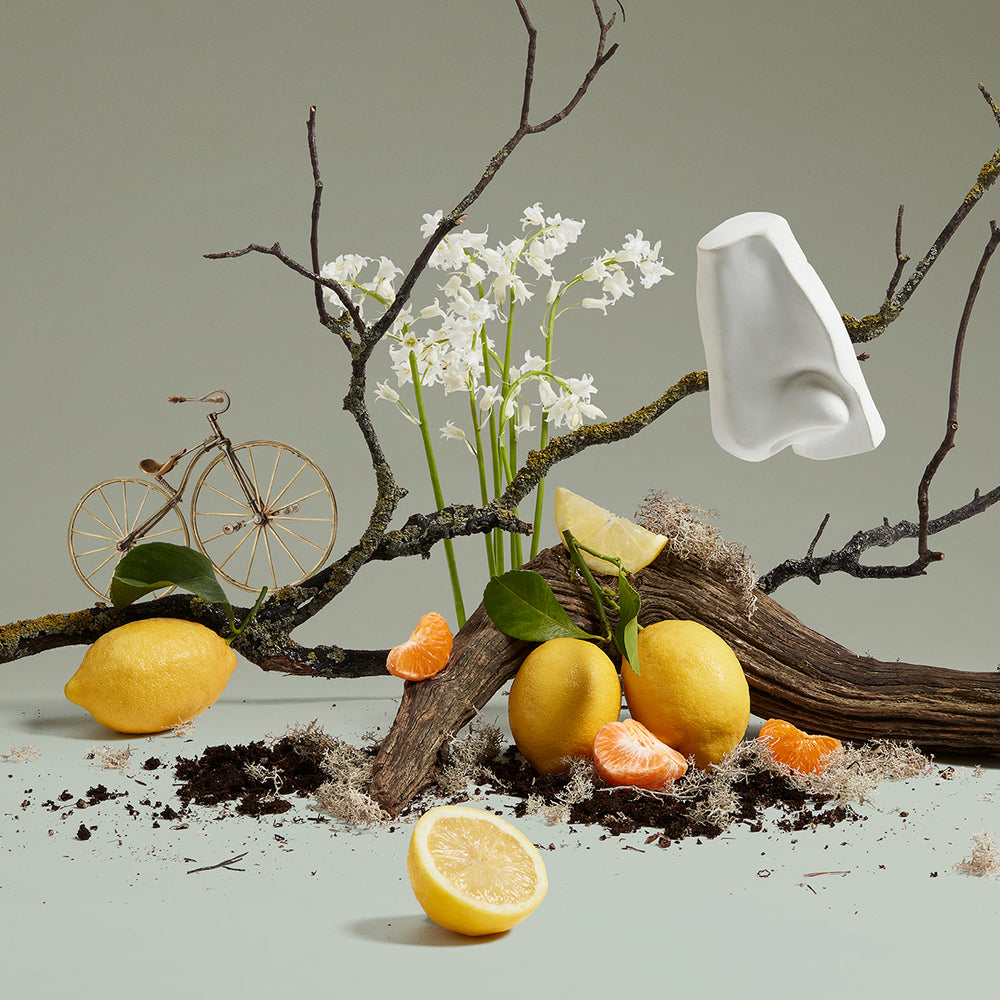 公式】クァーカス コロン｜ペンハリガン（PENHALIGON'S）｜香水